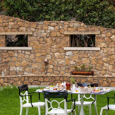 Core 4* بوليخرونو